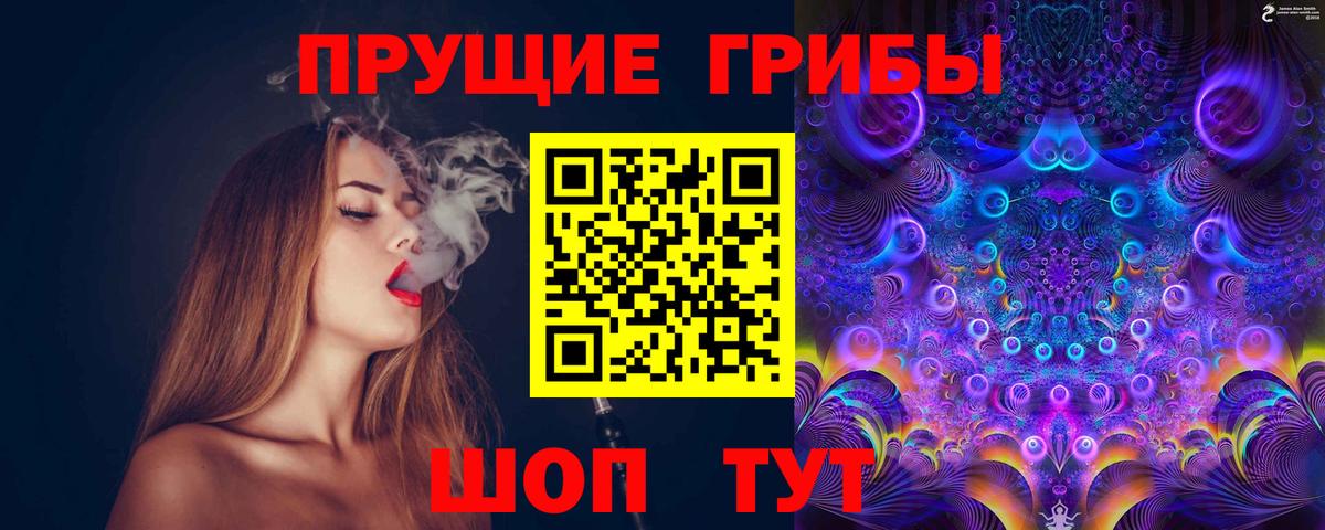 Псилоцибиновые грибы Psilocybine cubensis Можга
